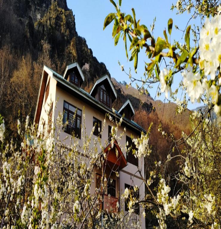 Cherrytree Resort photo