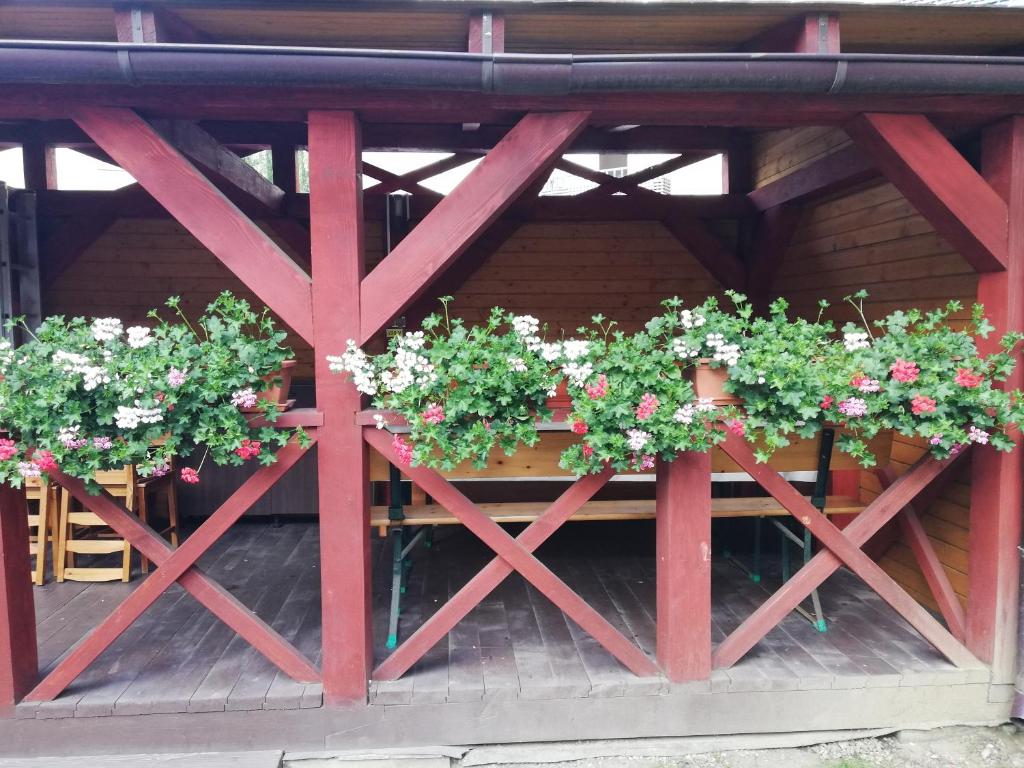 Apartament Roza photo