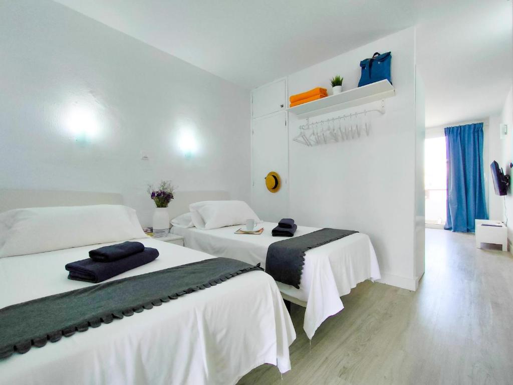 Cotton Cloud Holiday Home - 3