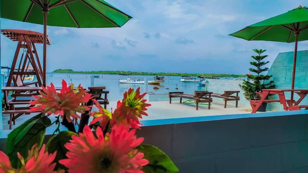 Homestay JS LAUT, Karimunjawa