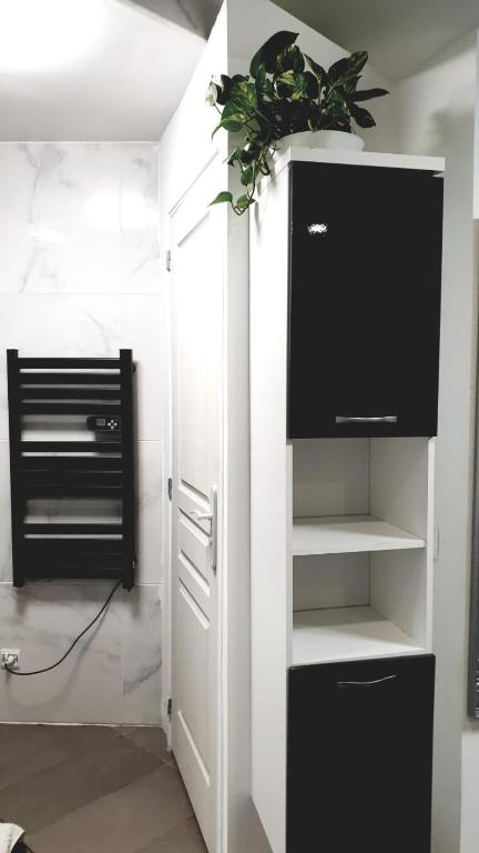 Jolie chambre tout confort dans appartement partagé - 4