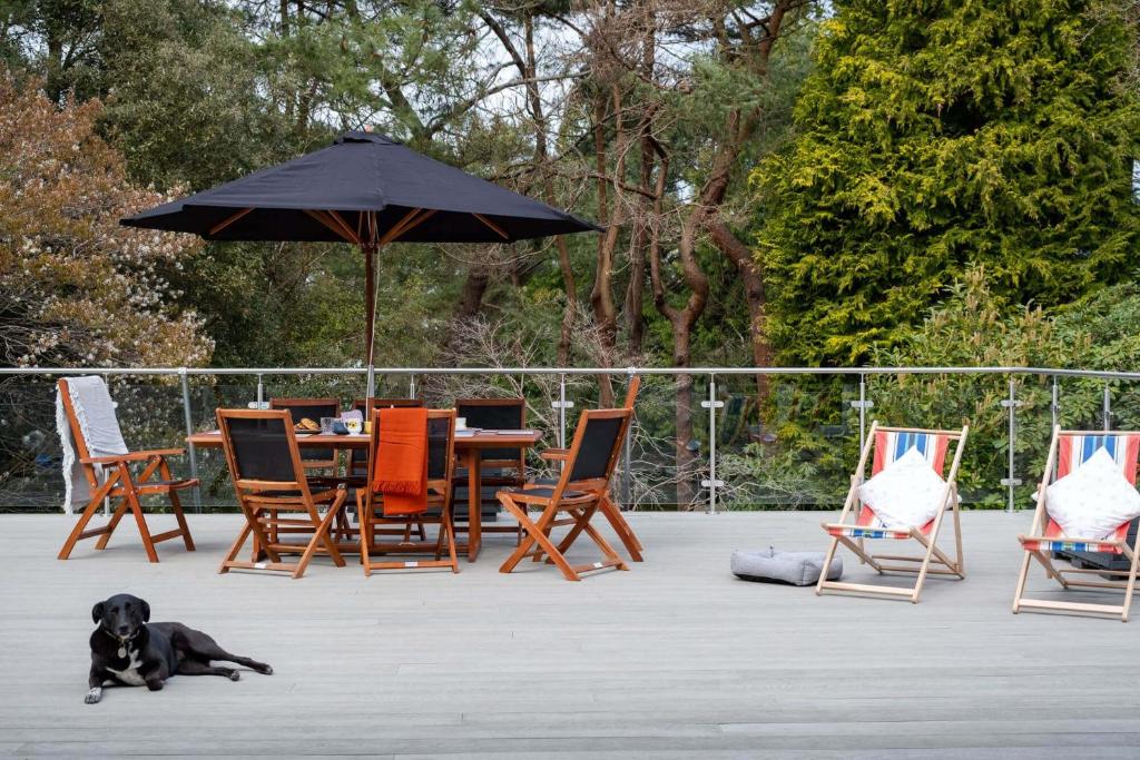 Tree Top House, Ringwood