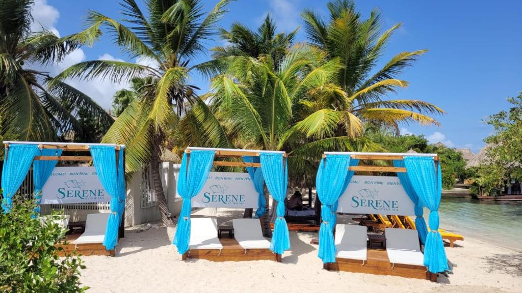 Serene by the Sea photo