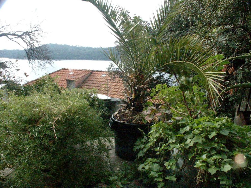 Apartments by the sea Babine Kuce, Mljet - 610 photo