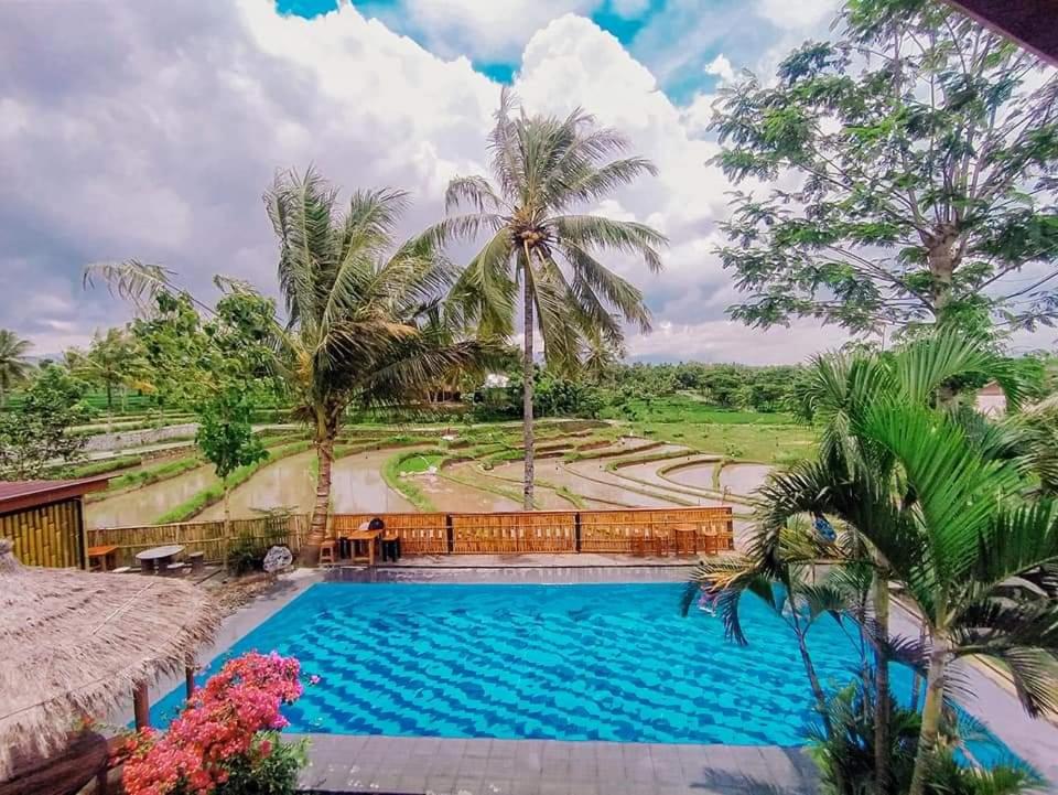 Peraja Bungalows Loyok photo