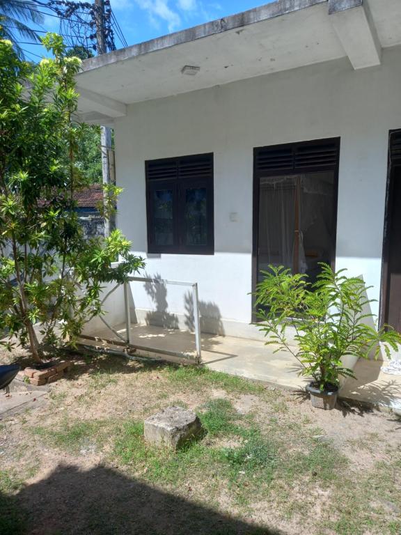 Tharu homes and rooms photo