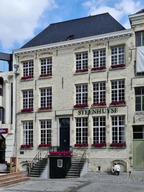 Hotel Restaurant Steenhuyse，位于奥德纳尔德的酒店