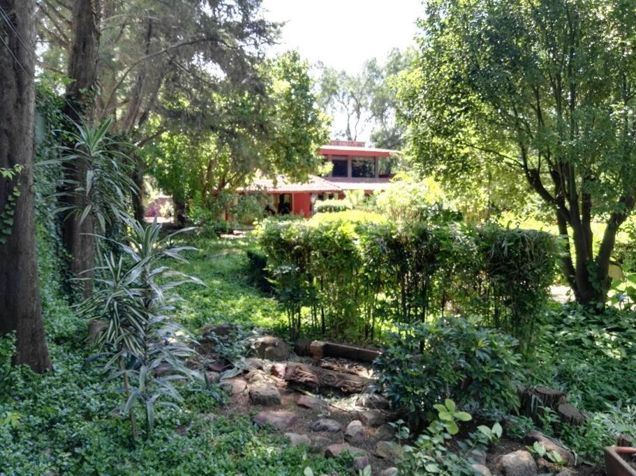 Nice home with gardens and trees, 3 full bedrooms, living and kitchen, León