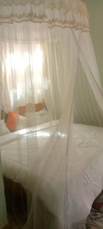 Victoria holiday villas photo