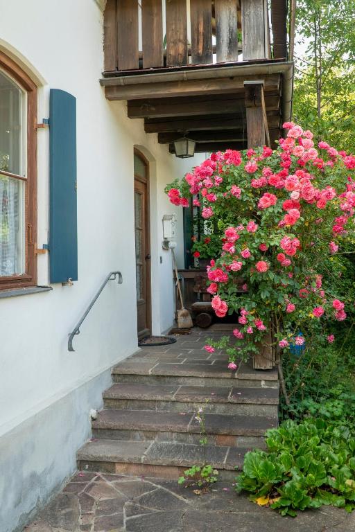 Landhauswohnung mit wildromantischem Garten - 3