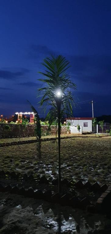 Shree krishna resort photo