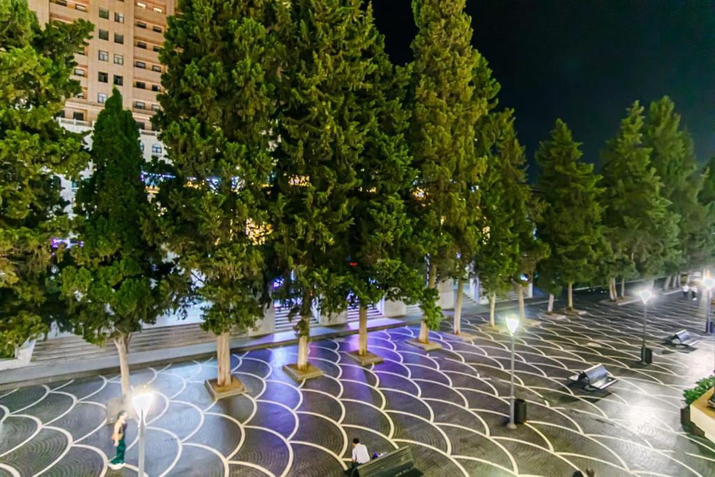 M Estate. 2 Room Home in Targovu — Hotel in Baku