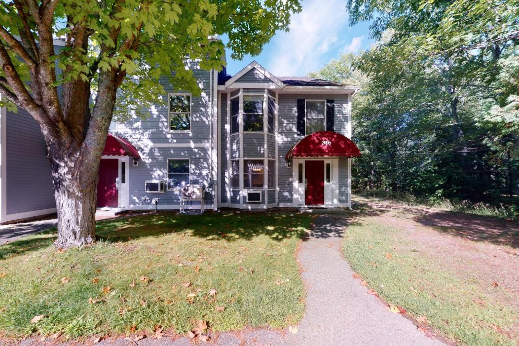 Birch Tree II, Bar Harbor