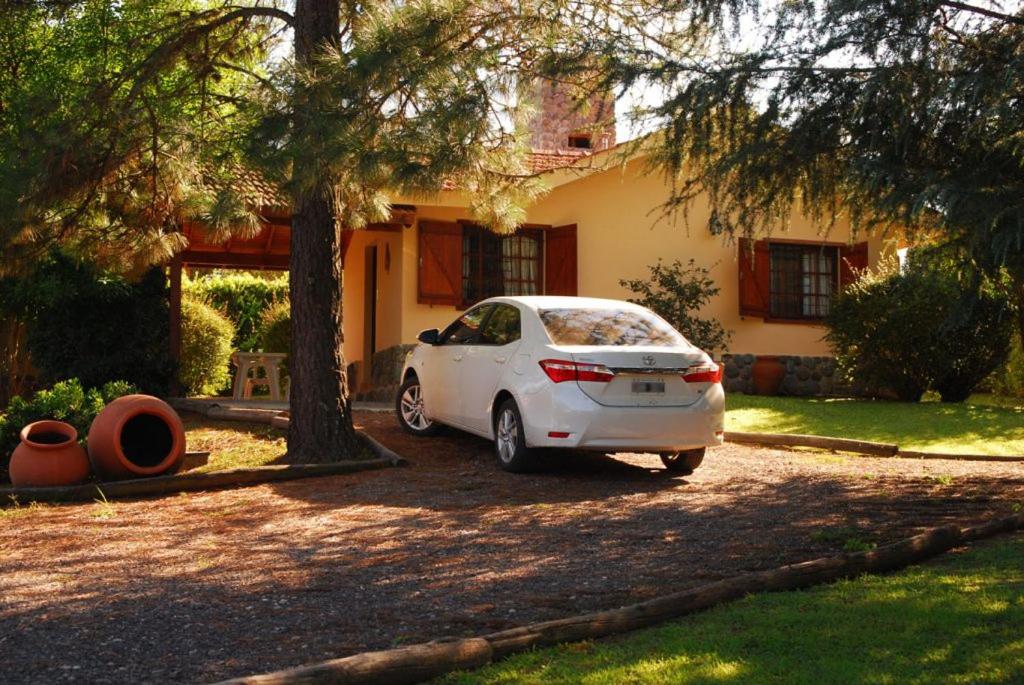 Cabañas Steinhaus - 3