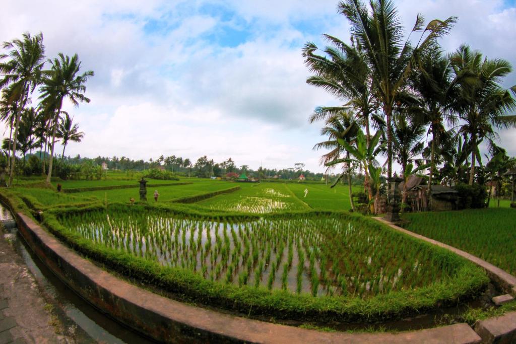 Vinarya Villa — Hotel in Bali