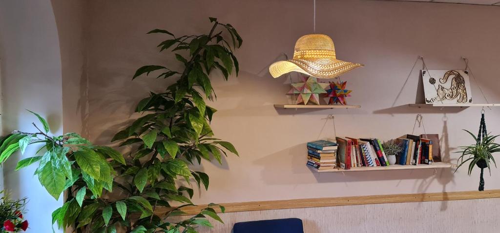 GREEN Hostel MADRID GRAN VIA photo