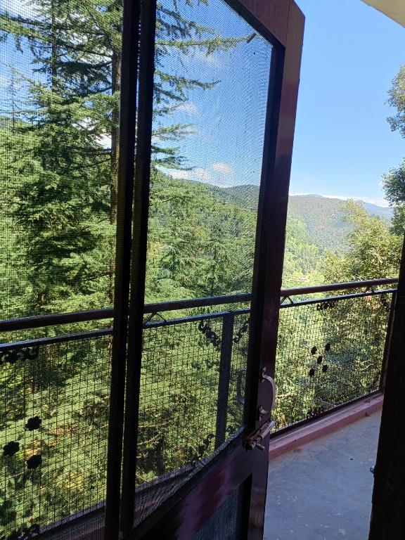 Peace holiday homestay photo