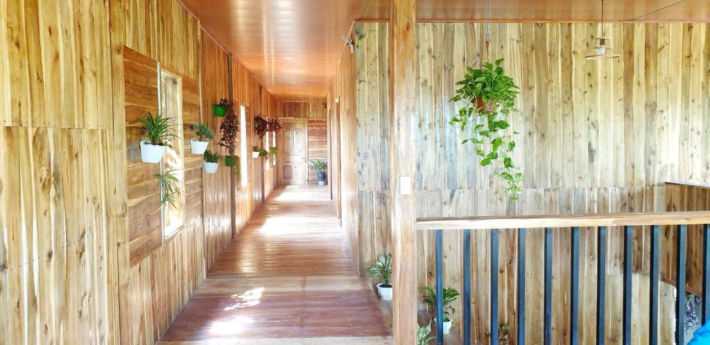 Tuyet's Homestay photo