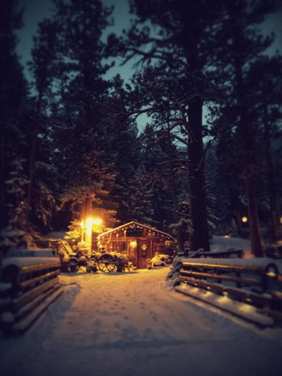 Pine Haven Resort photo