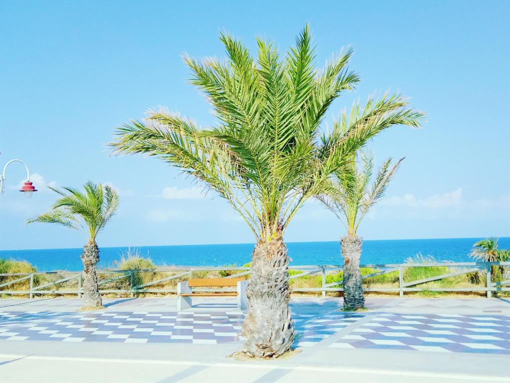 Casa Ilda (Gran Alacant) - 3