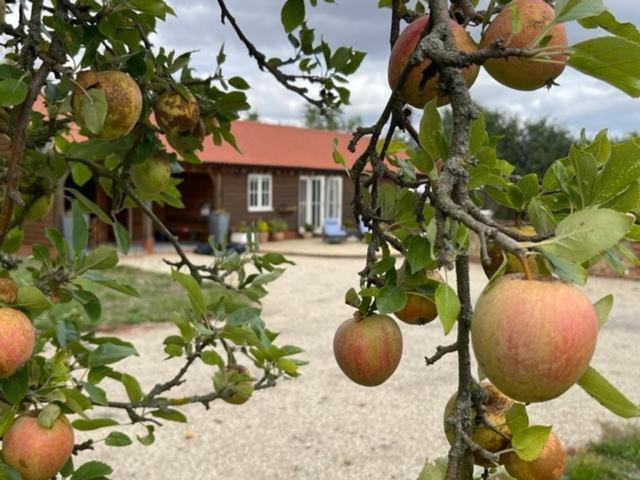Walnut Tree Cottage Barn, Toppesfield