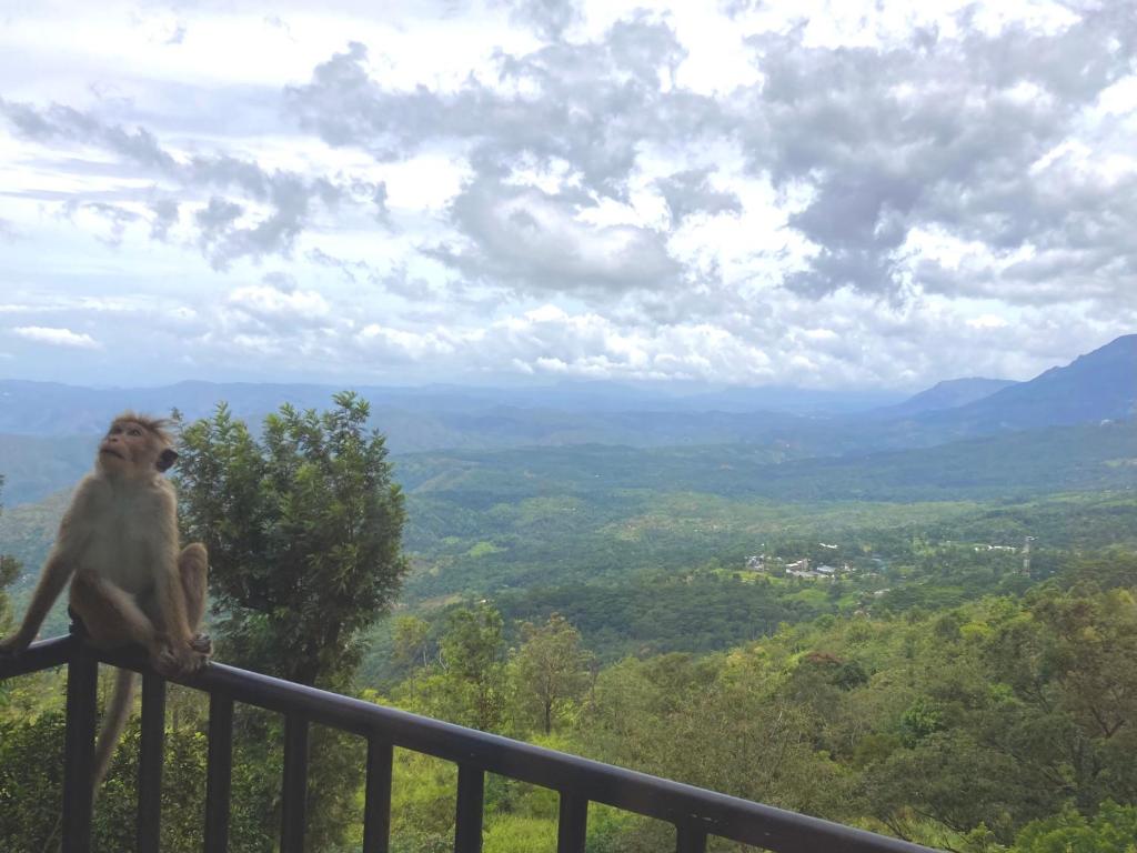 Hotel SkyFall — Hotel in Haputale