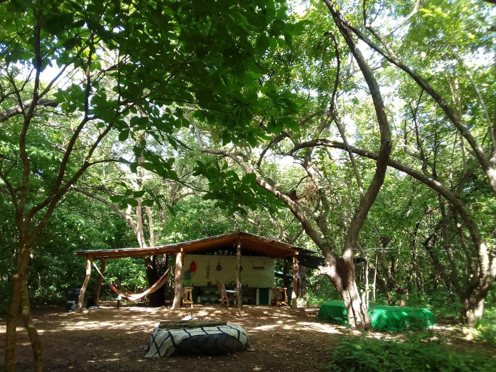 El Pirata Caracol, La Virgen