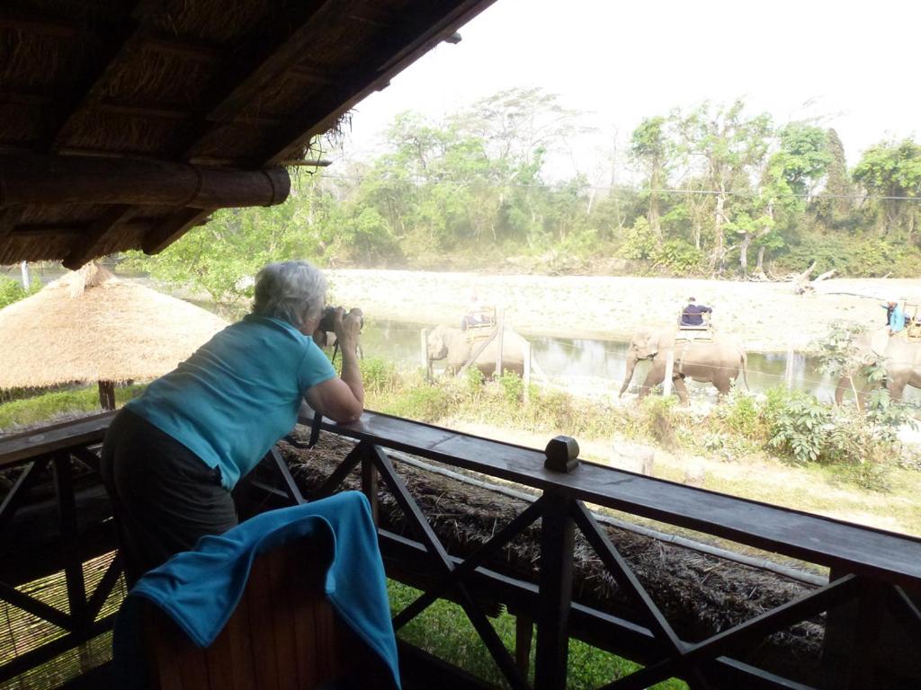 View, Bardia Eco Lodge in Thakudwara
