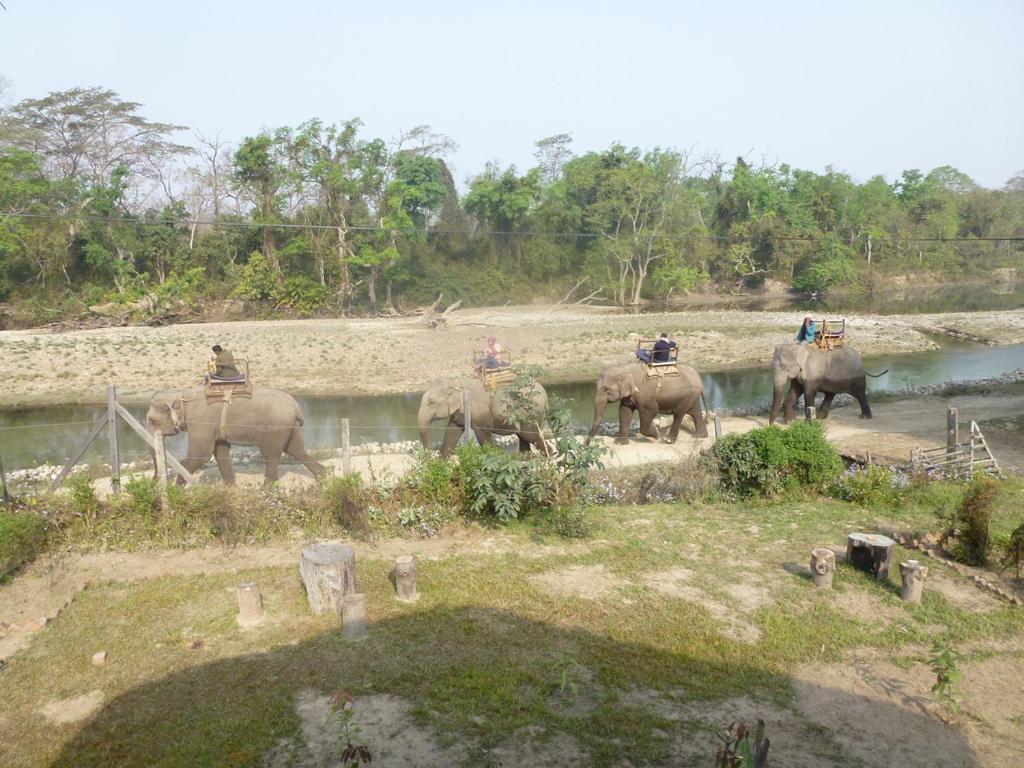 View, Bardia Eco Lodge in Thakudwara
