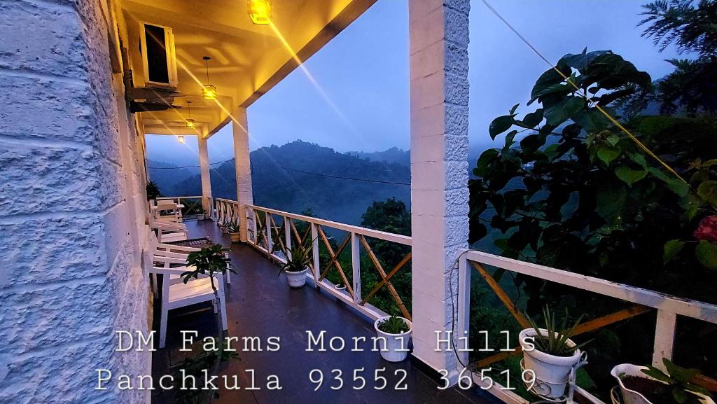DM Farms Morni Hills Panchkula photo