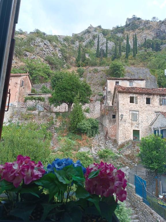 Guesthouse BiT Accommodation photo