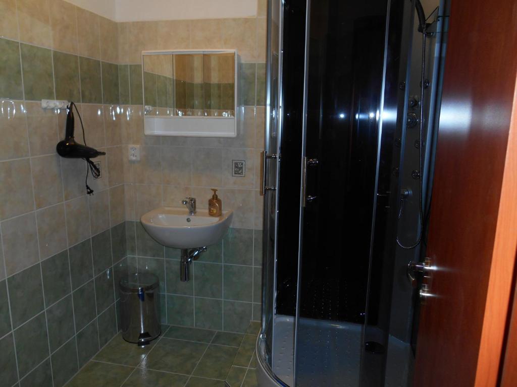 Apartment Karlovy Vary photo