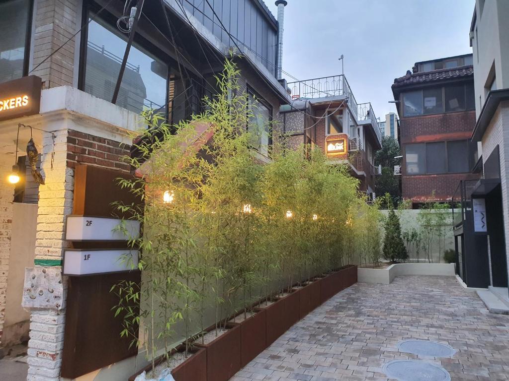 ครอสโร้ด แบ็คแพคเกอร์ ฮงแด (Crossroad Backpackers Hongdae)