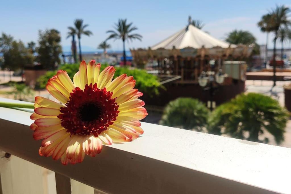 Apartamento Paraíso Fuengirola - 1