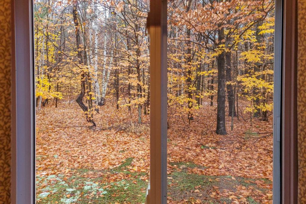 Secluded Bear Lake Cottage - Unplug and Relax! photo