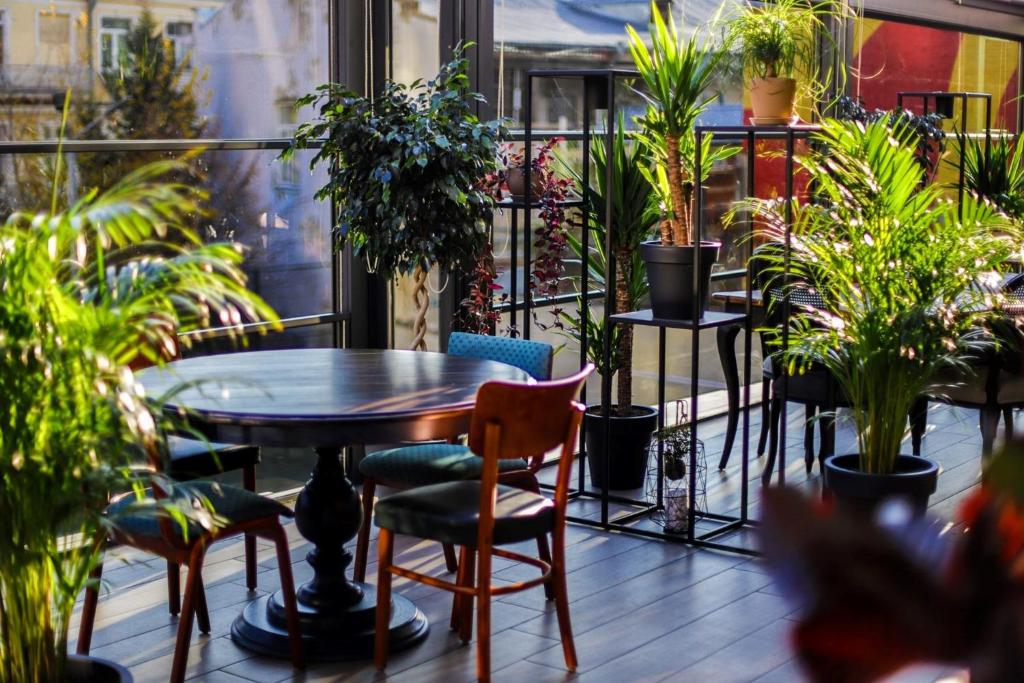 Gallery Palace 호텔 조식 뷔페