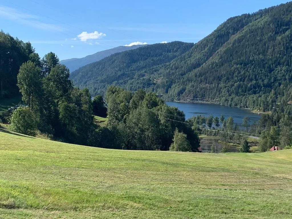 Feriehus med utsikt til fjord og fjell, hotel in Gvammen
