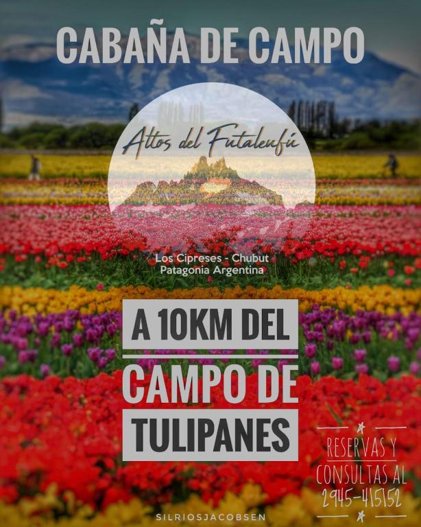 Cabaña de CAMPO Altos del Futaleufu sobre COSTA DE RÍO - 3