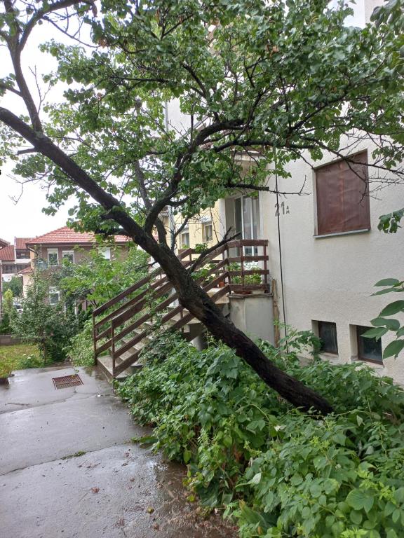 Apartman Milic - 3