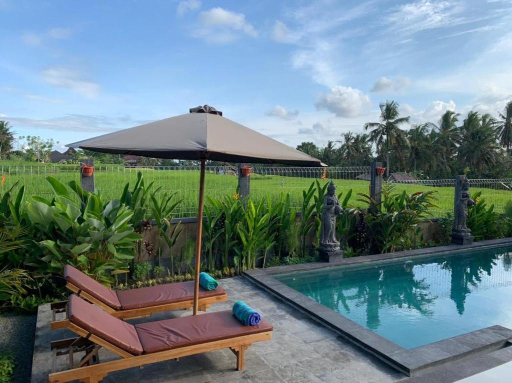 Bhakti Ubud Villa photo