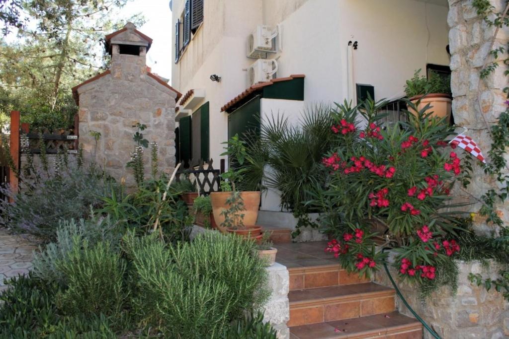 Apartments by the sea Artatore, Losinj - 8091 photo
