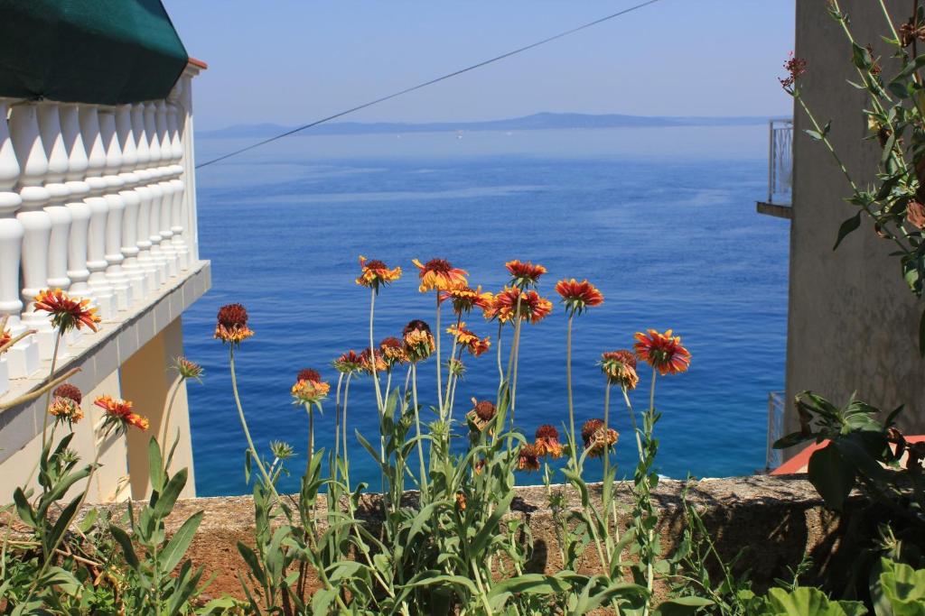 Apartments by the sea Savar, Dugi otok - 8079 photo