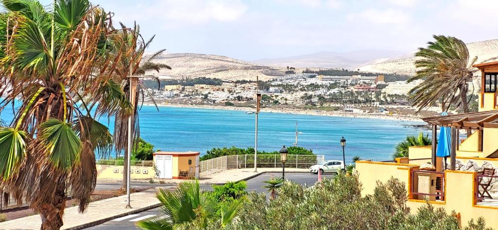 Holiday flat BLUE OCEAN, beachfront, sea view, 1 bedroom, livingroom, fast internet - 4