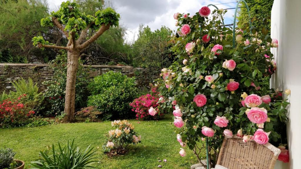 Villa Pare Gabea - 1 ou 2 chambres, jardin privatif 600m2 - Anglet - 2