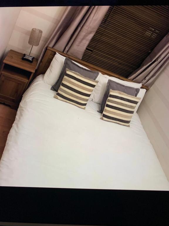 Ty Rosa Rooms photo