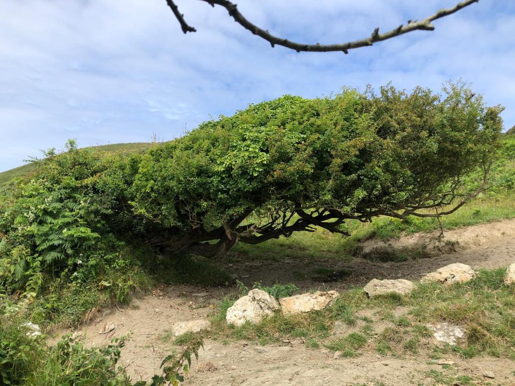 スポーツ/アクティビティ