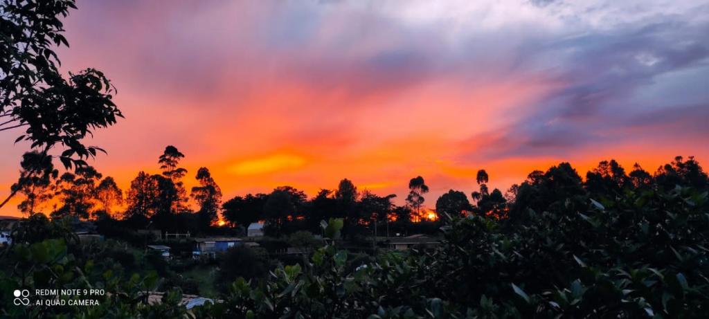 Villa Celina: La cabañita de Guadua - 4