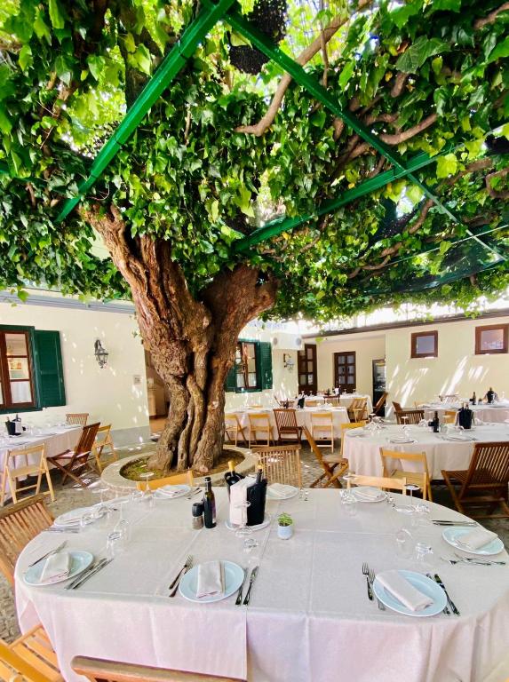Antica locanda al Gelso — Hotel in Monfalcone