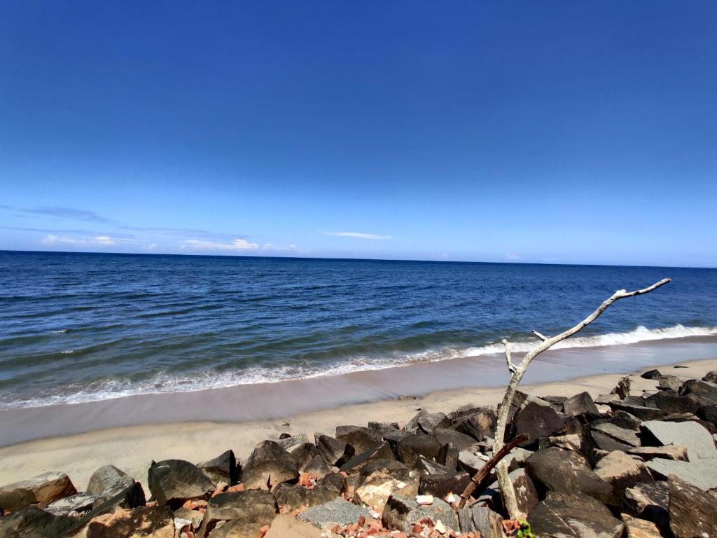Cherai - Beach View Resort photo