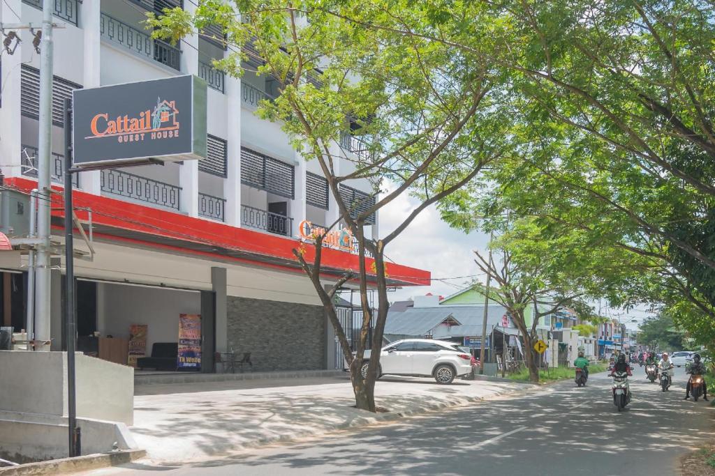 Cattail Guest House Pontianak, Pontianak
